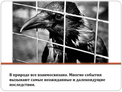 Тем самым вызвав