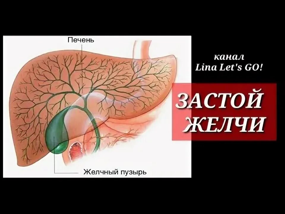 Застой в печени симптомы. Анализы при застое желчи.