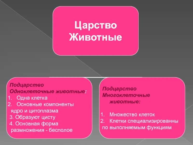 Свойства многоклеточных