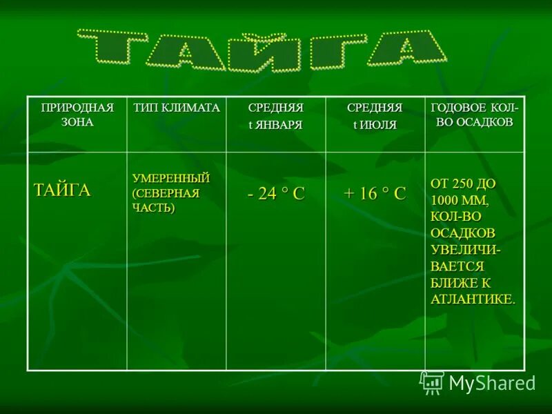 Тесты природные зоны 5 класс