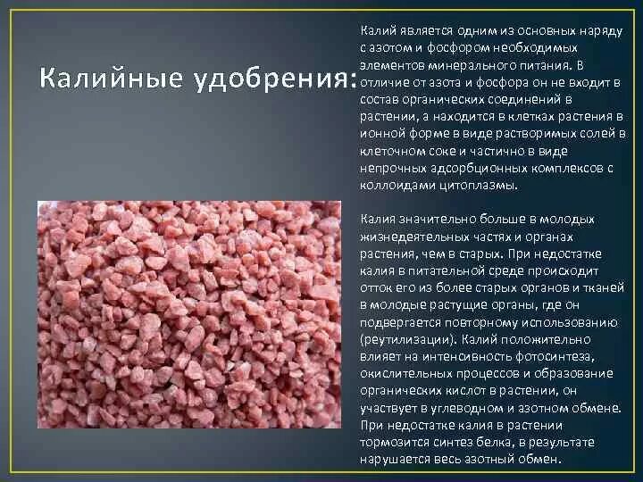 Природное соединение калия. Роль калийных удобрений. Характеристика калийных удобрений. Калийные удобрения виды. Азотно-фосфорно-калийное удобрение.