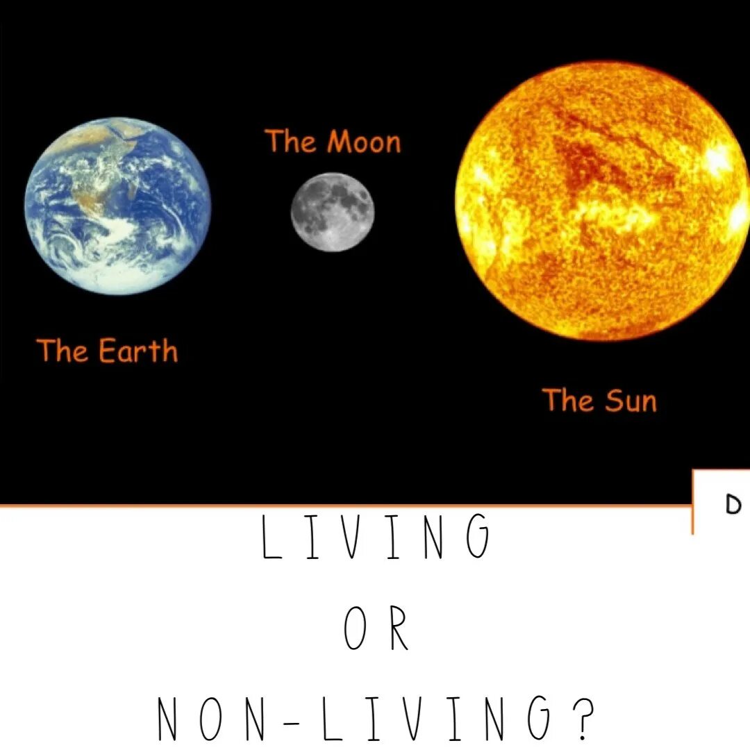 Луна по сравнению с землей. Размеры земли Луны и солнца в сравнении. Солнце и земля. Размеры солнца земли и Луны. Солнце и Луна сравнение размеров.