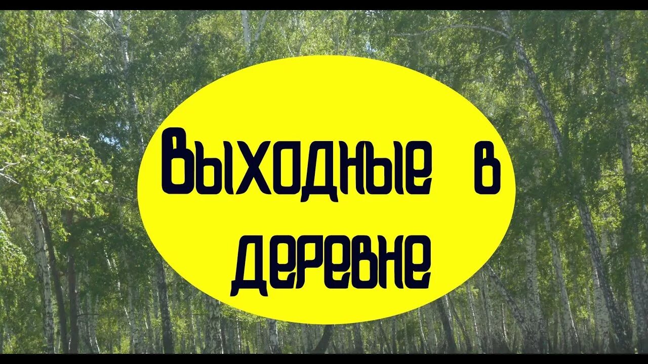 Мои выходные в деревне