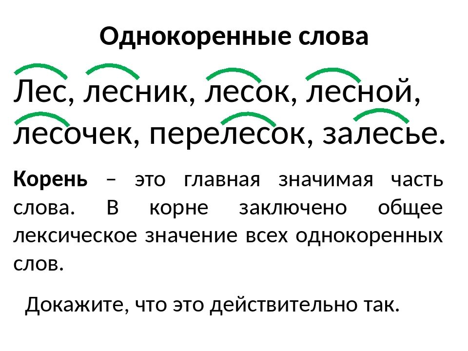 1 группа однокоренных слов. Однокоренные слова правило. Однокоренные родственные слова к слову лес. Однокоренные слова образец. Однокоренные слова примеры 1 класс.