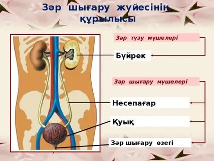 Пермьдегі секс қызметтері