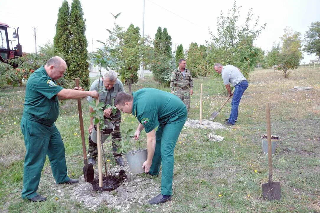 Заходишь в лесхоз и сразу чувствуешь. Посадка саженцев в лесничествах. Алексеевское лесничество. Оку Алексеевское лесничество. Лес Алексеевского лесничества.