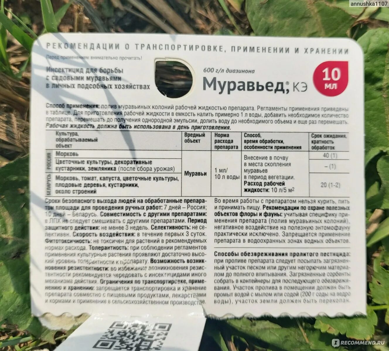 Муравьи как разбавить