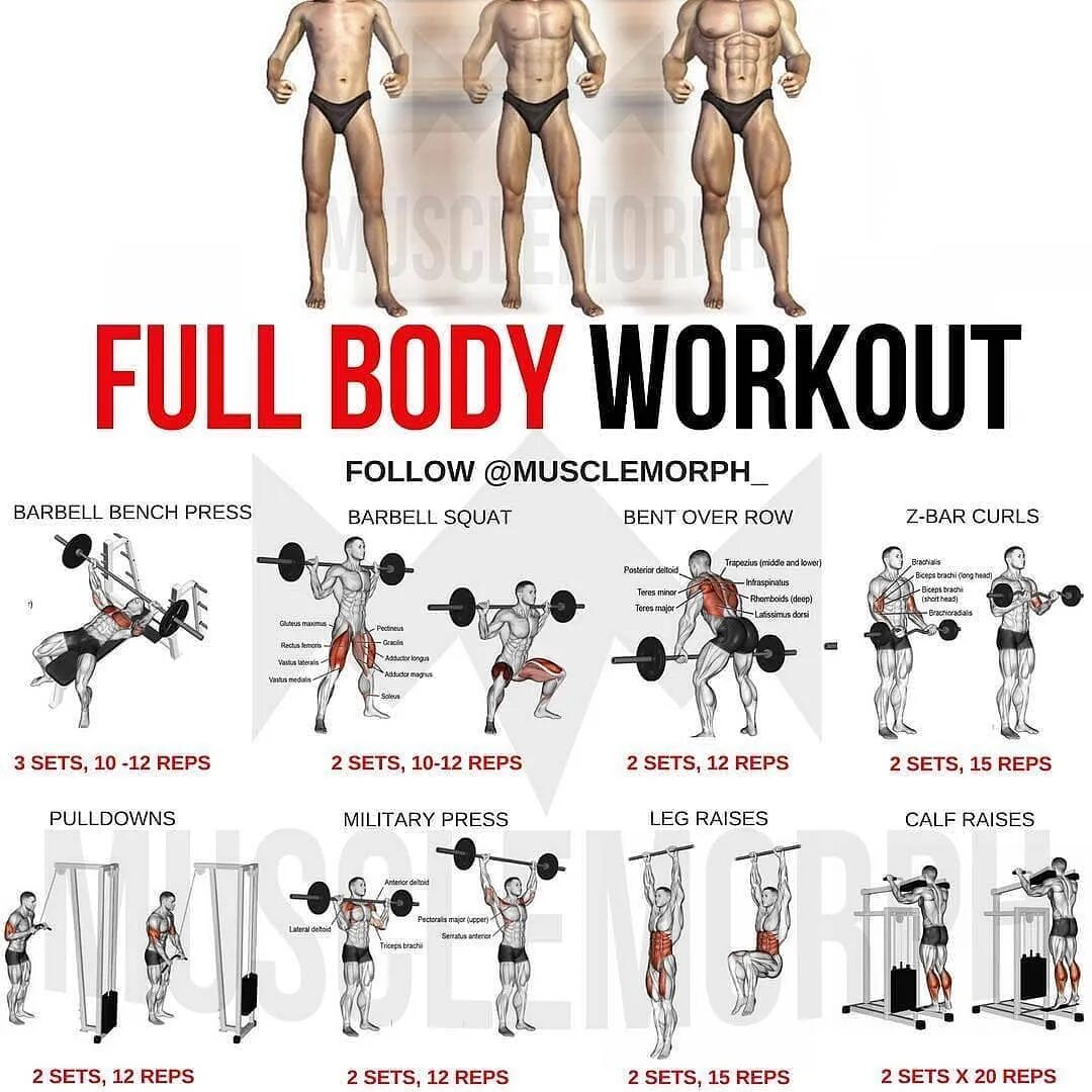 Full body тренировка Workout. Тренировка Full body для мужчин в тренажерном зале. Full body тренировка программа для женщин. Программа тренировок Full body.