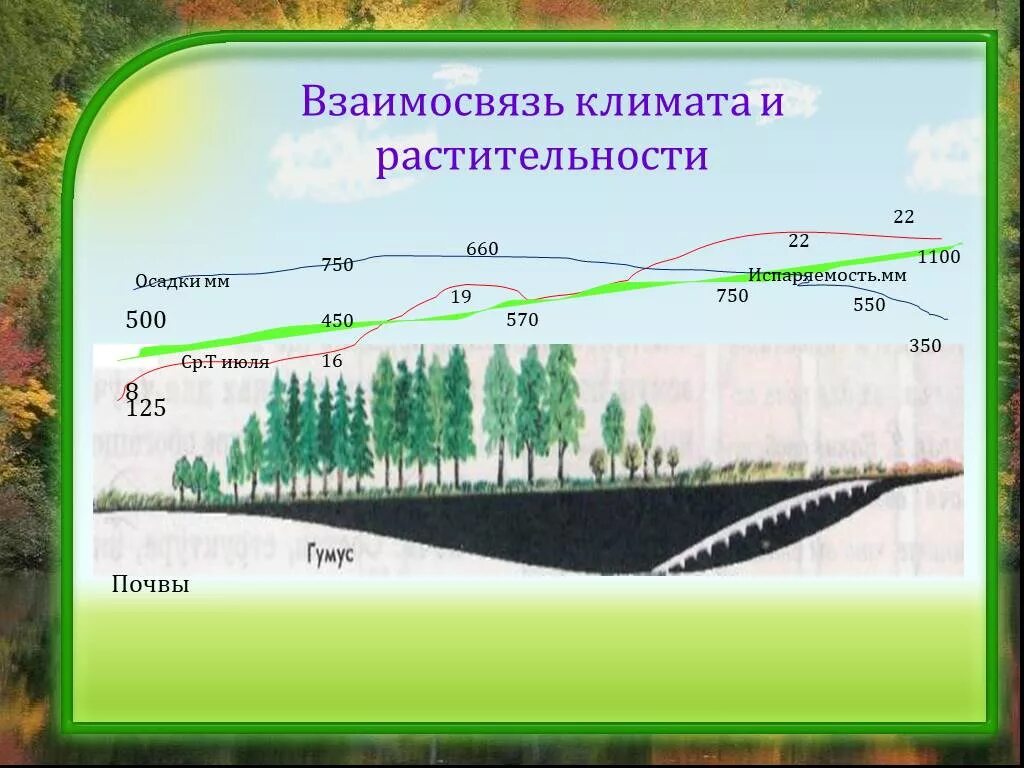 Влияние растительного покрова. Взаимосвязь почв и растительности. Климата и растительности взаимосвязь. Взаимосвязь почв растительности и климата. Влияние климата на растительность.