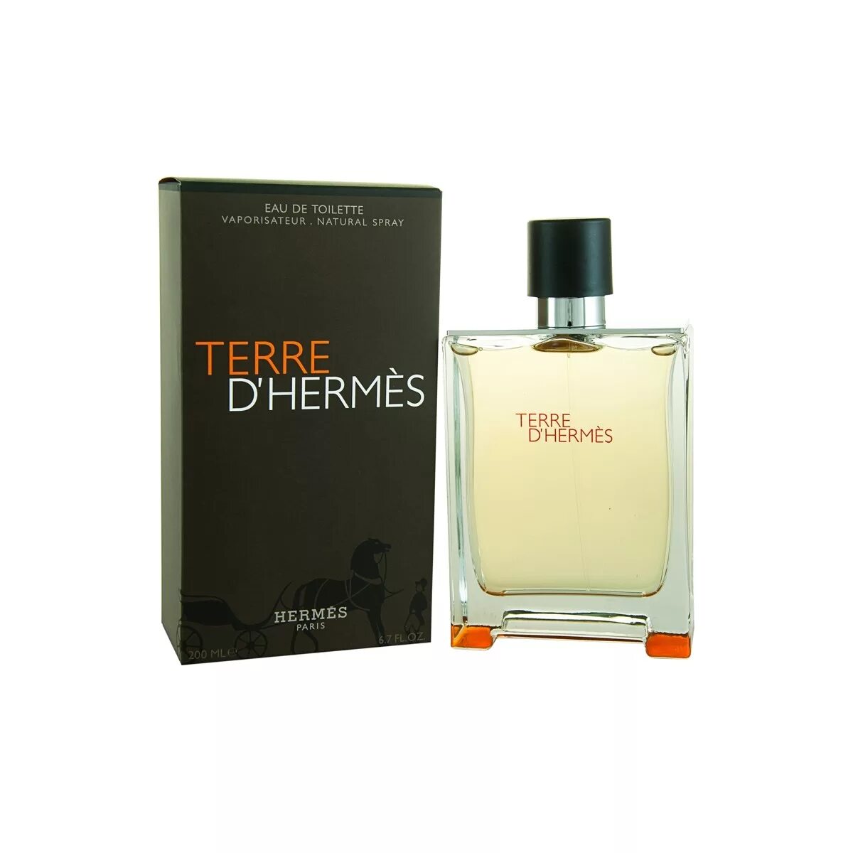 Туалетная вода terre. Hermes Terre d'Hermes 100ml. Terre d'Hermes, 100 ml. Terre d'Hermes EDT 100ml. Hermes Terre d Hermes туалетная вода 100.