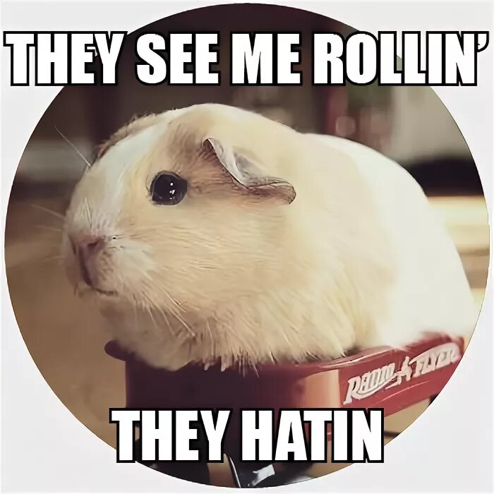 I rolling. They see me Rolling. They see me Rollin. They see me Rollin' meme. They hating.