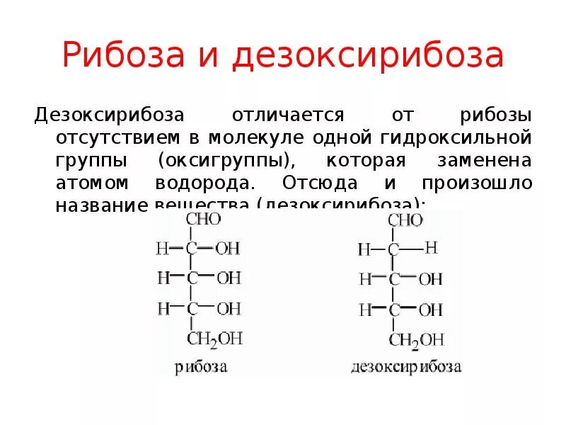 Содержит дезоксирибозу
