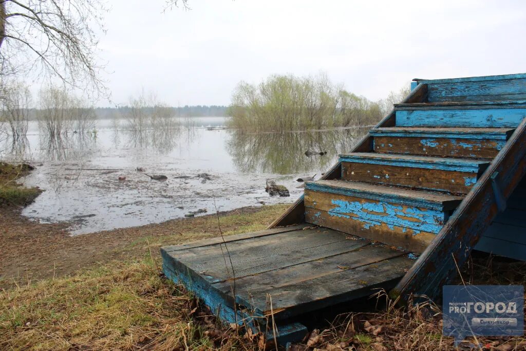 Уровень воды в реках коми на сегодня. Разлив реки в Сыктывкаре. Северные реки паводок. Уровень воды в реках Коми Усть-Цильма. Сторожевск Вычегда.