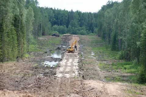 Строительство лесной дороги