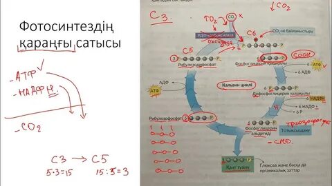 Уфадағы жеке жыныстық массаж