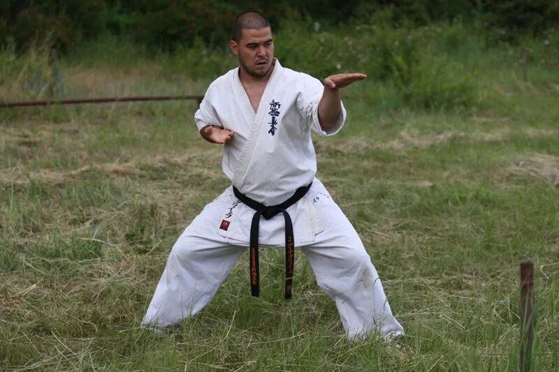 Конев карате. Конев карате. Конев карате. Федерация всестилевого каратэ хабаровск. Первенство хабаровского края по всестилевому каратэ.