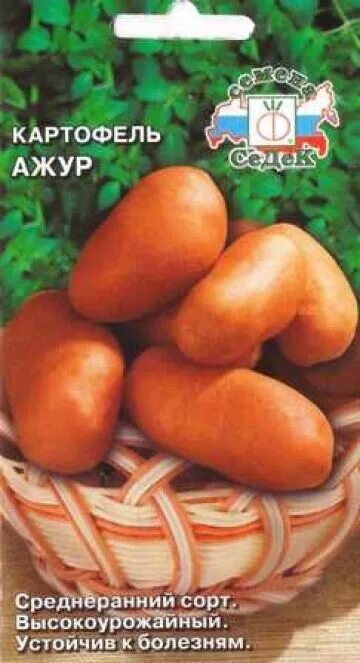 Картофель ажур описание сорта. Семена картофель ажур 0,02 г. сорт картофеля ажур. седек картофель ажур. семенная картошка ажур.