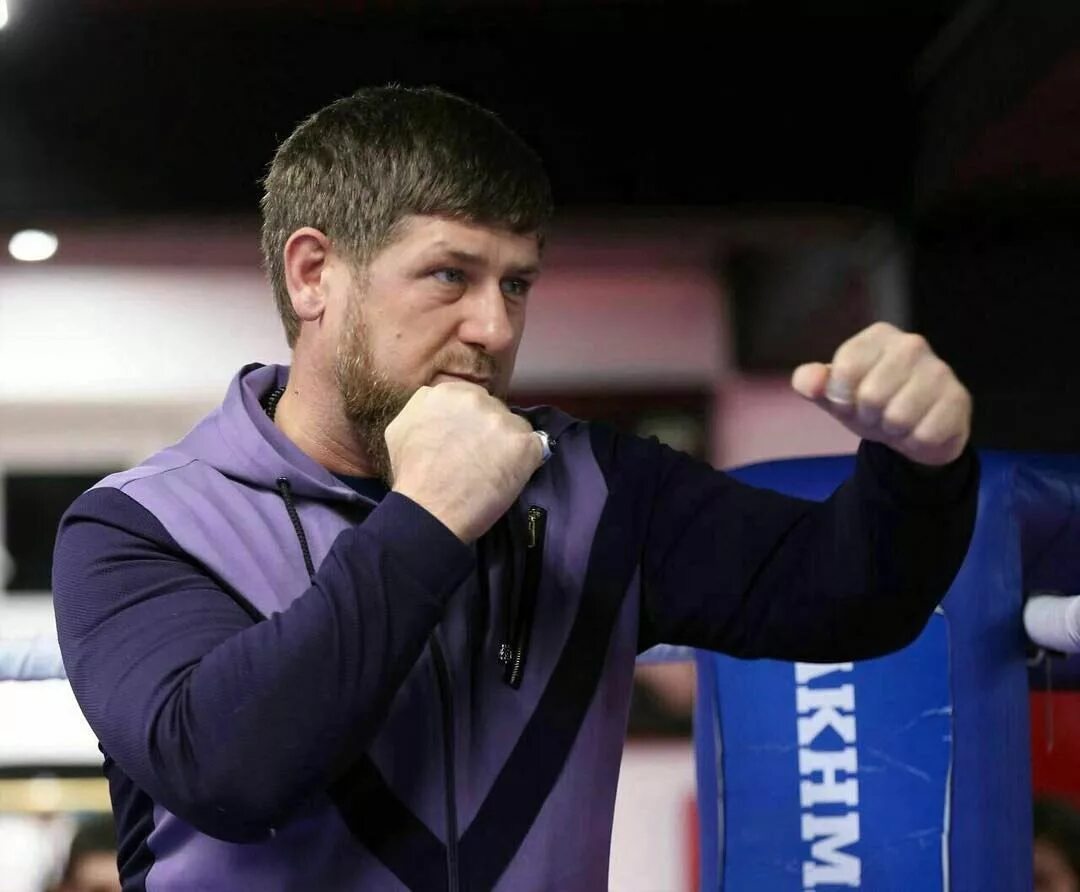 Адам кадыров бой. Кадыров бокс. Рамзан кадыров боксирует. Александр емельяненко и рамзан кадыров. Кадыров бокс.