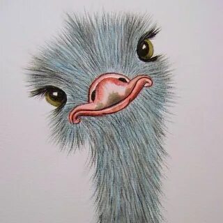 Рисунок страуса