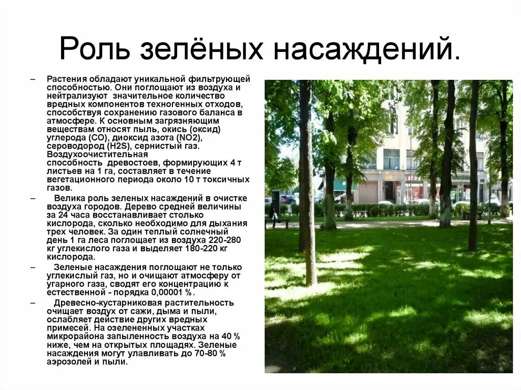 Роль зеленых насаждений в городе. Газозащитная роль зеленых насаждений. Характеристика зеленых насаждений. Восстановление зеленых насаждений. Что значит зеленая зона