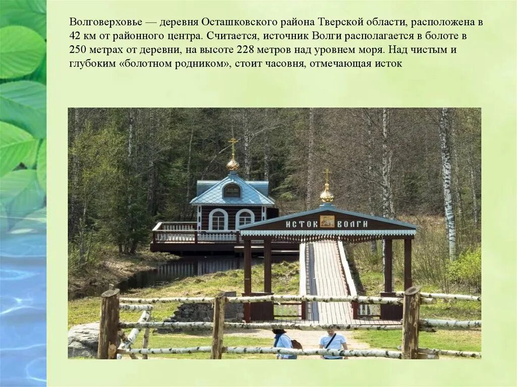 Где берет исток река волга. Деревня волговерховье исток волги. Деревня волговерховье исток волги. Валдайская возвышенность исток волги. Исток волги окружающий мир 4 класс.