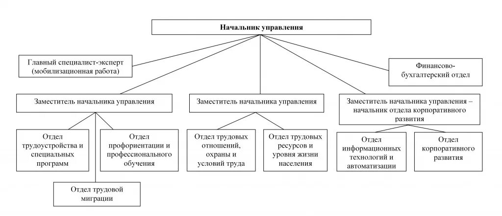 Структура управления центра занятости населения. Организационная структура ЦЗН схема. Схема структуры центра занятости. Структура центра занятости населения схема. Государственного управления занятостью населения