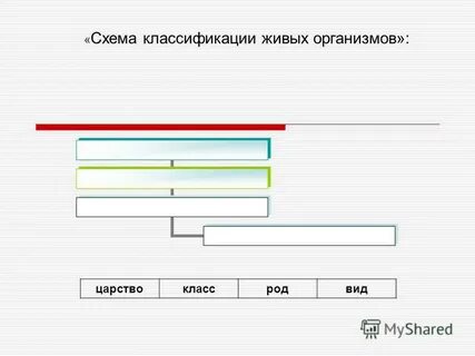 Тесты по систематике живых организмов
