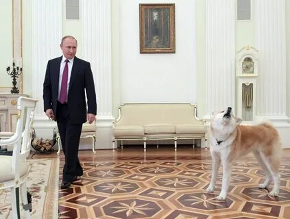 Какая президентская