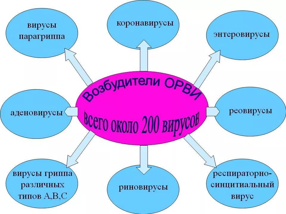 Возбудитель гриппа орви. Вирусы вызывающие ОРВИ. Возбудители ОРВИ. Возбудители острых респираторных вирусных инфекций. Вирусы - возбудители острых респираторных вирусных заболеваний.