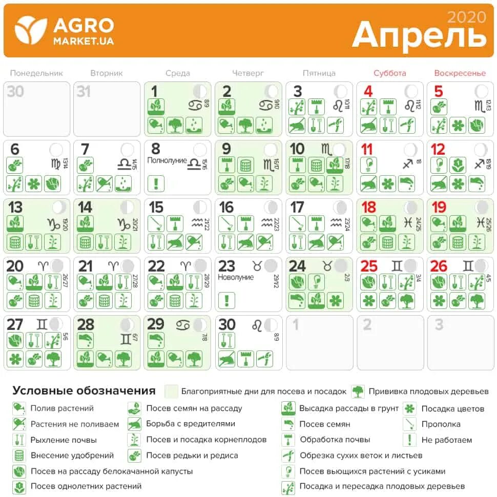 Календарь огородника на февраль. Лунный календарь на февраль. Посевные дни в феврале. Лунный календарь огородника на февраль. Посадочные дни для цветов в феврале