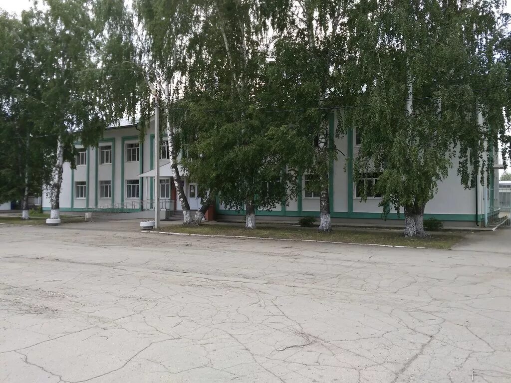 Подвалье самарская область шигонский район. Село новодевичье шигонского района. Усолье шигонский район. Шигоны самарская природа. Вице смильтэнэ самарская область.