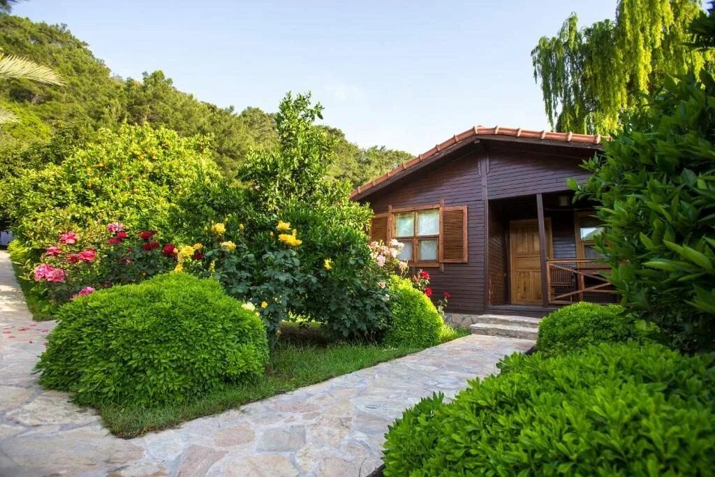 Kimera lounge boutique чиралы. Азур в чиралы. Чиралы отели. Чиралы турция. Чиралы отели.