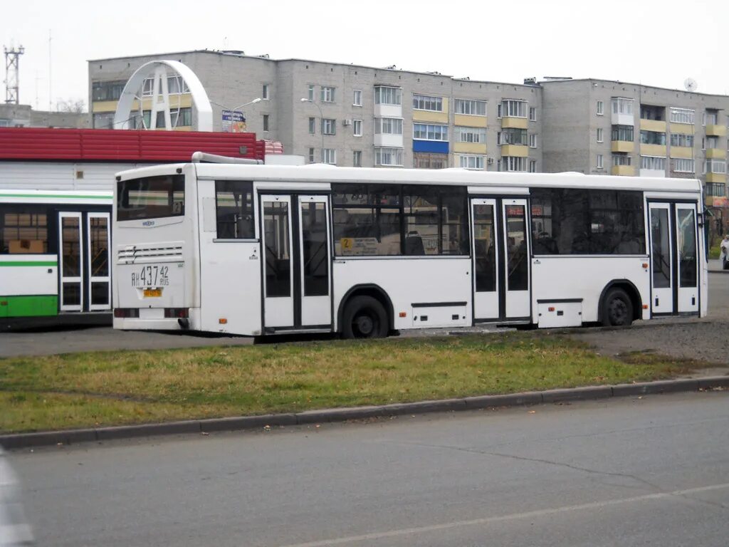 найти 43 автобуса