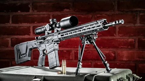 Gun 2023