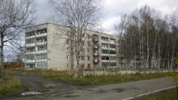 поселок заветы ильича хабаровский край. п заветы ильича. заветы ильича лесничество. заветы ильича хабаровский край. ростокино заветы ильича на сегодня.