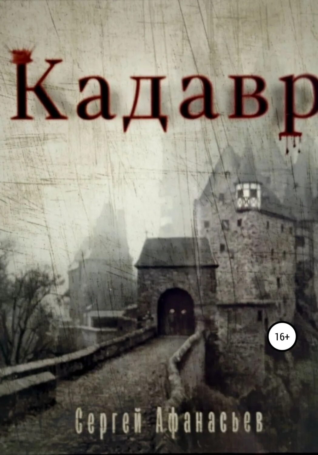 Кадавры книга. Книга с круглым замком. Дневник реставратора.