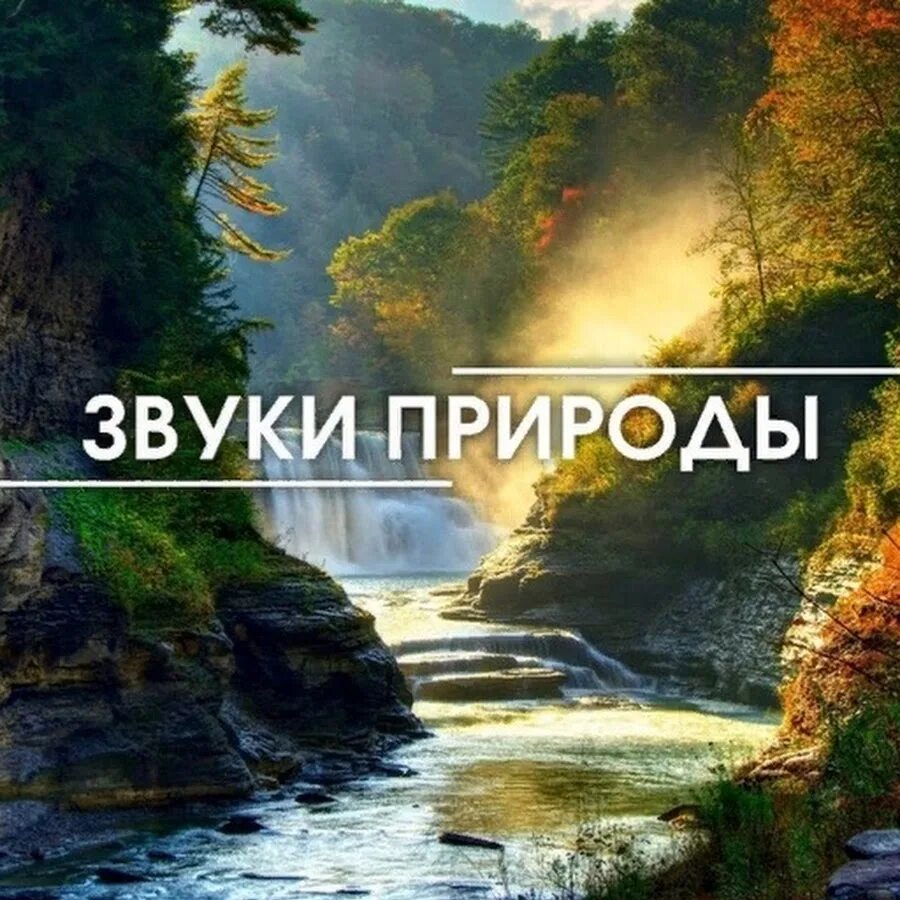 Звуки природы. Природные звуки. Обложка природа. Приятные звуки природы.