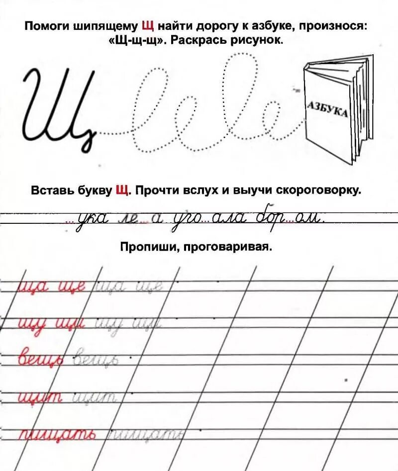 Слова вписывай строчными буквами и без точек. Элементы буквы щ. Письмо буквы щ. Прописывать буквы. Прописи.