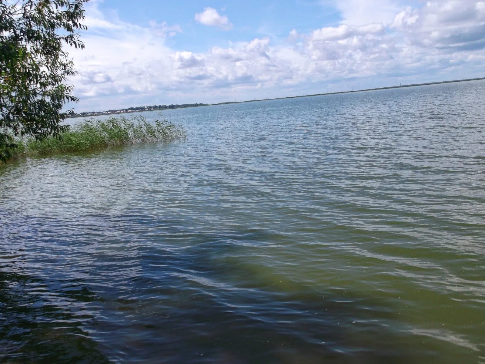 Село Мамонтово Алтайский край. Озеро горькое Алтайский край Тюменцевский. Озеро горькое Мамонтовский район. Озеро горькое Алтайский край Мамонтовский район. Горькое озеро алтайский