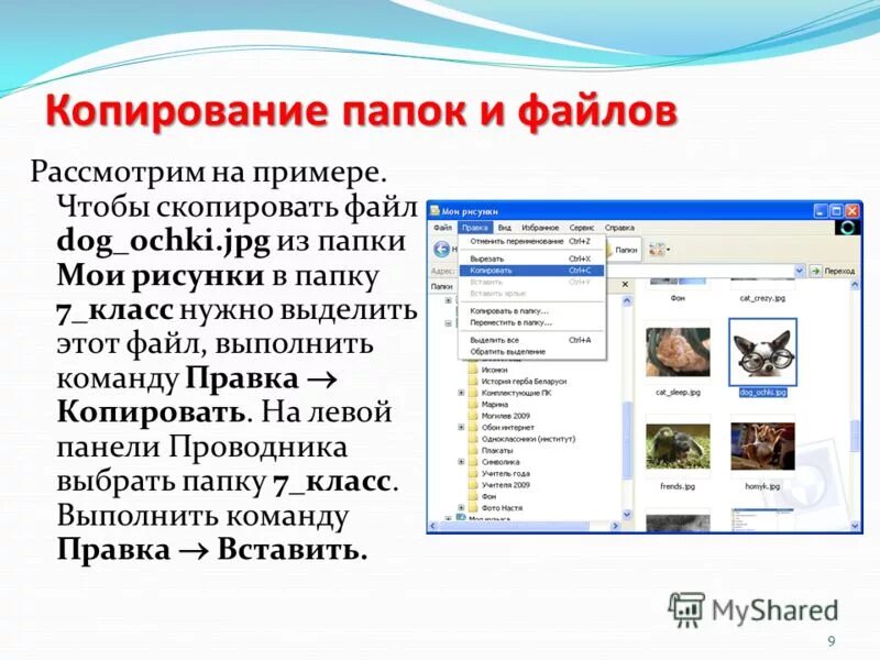 Скопировать используемый файл