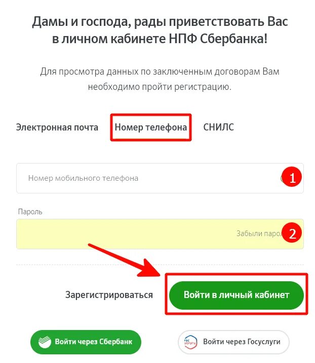 Зайти в сбербанк без пароля. Сбер НПФ личный кабинет войти. Сбербанк личный кабинет. Личный кабинет НПФ.