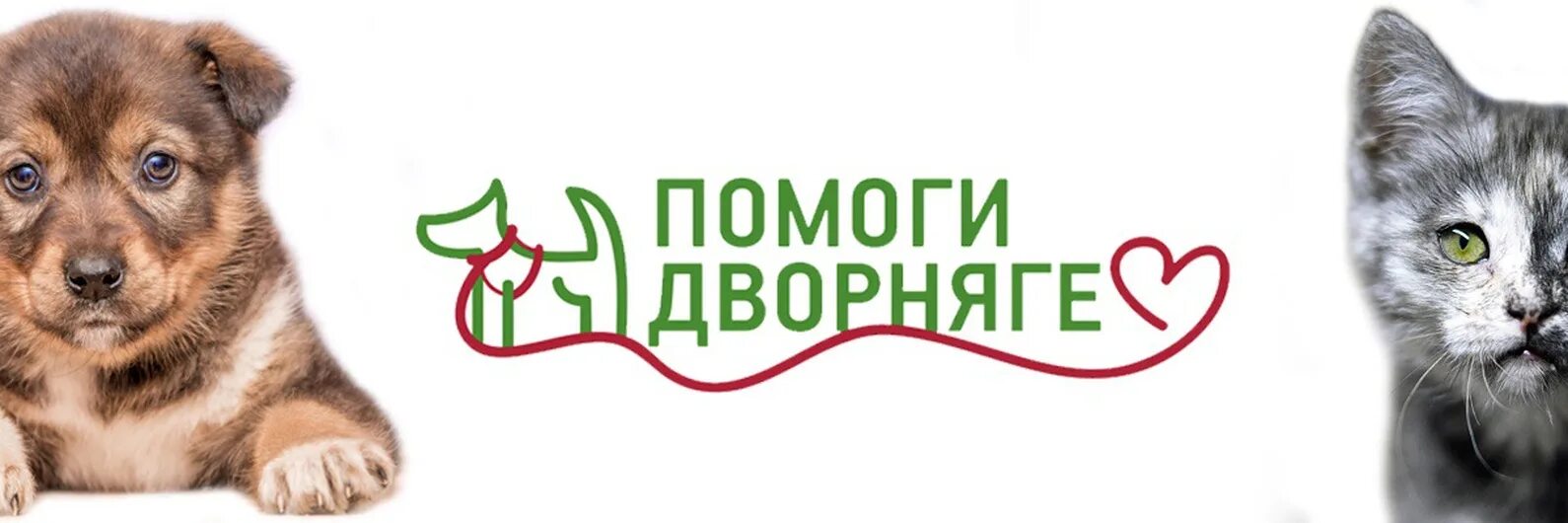 Сбор помощи приюту для животных. Помоги животным. помощь приюту для животных. поможем приюту для бездомных животных. помощь животным картинки.