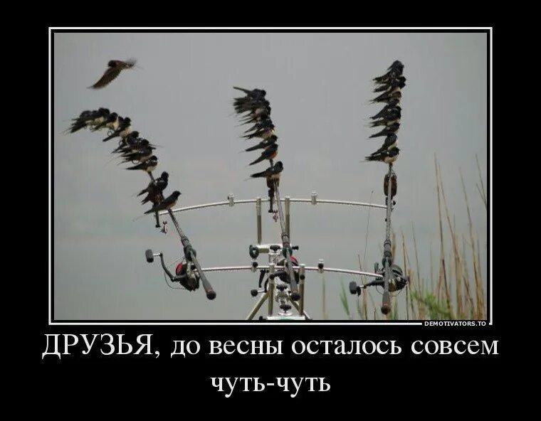 До весны осталось немного. До весны осталось чуть. До весны совсем немного. До весны осталось совсем немного.