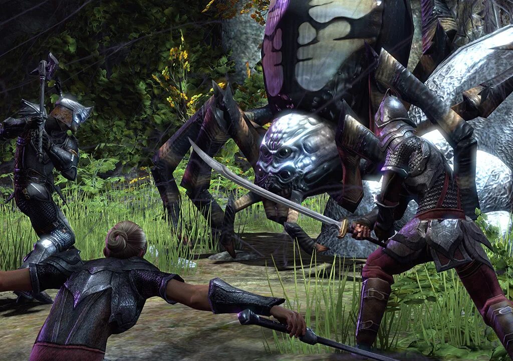 The elder scrolls 6 дата выхода. The elder scrolls bethesda softworks. the elder scrolls online скрины. the elder scrolls 6 скриншоты. игрок 100 уровня the elder scrolls online.