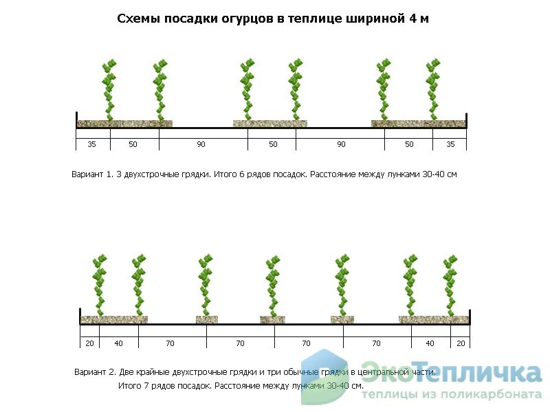 Схема посадки томатов в теплице. Посадка помидор в теплице схема посадки. Схема высадки томатов в теплице 3х6. Схема посадки огурцов в закрытом грунте. На каком расстоянии сажать рассаду помидор