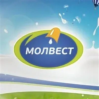 Молвест тендеры. Ооо молвест. молвест лого. молвест воронежский молочный комбинат. завод вкуснотеево молвест.