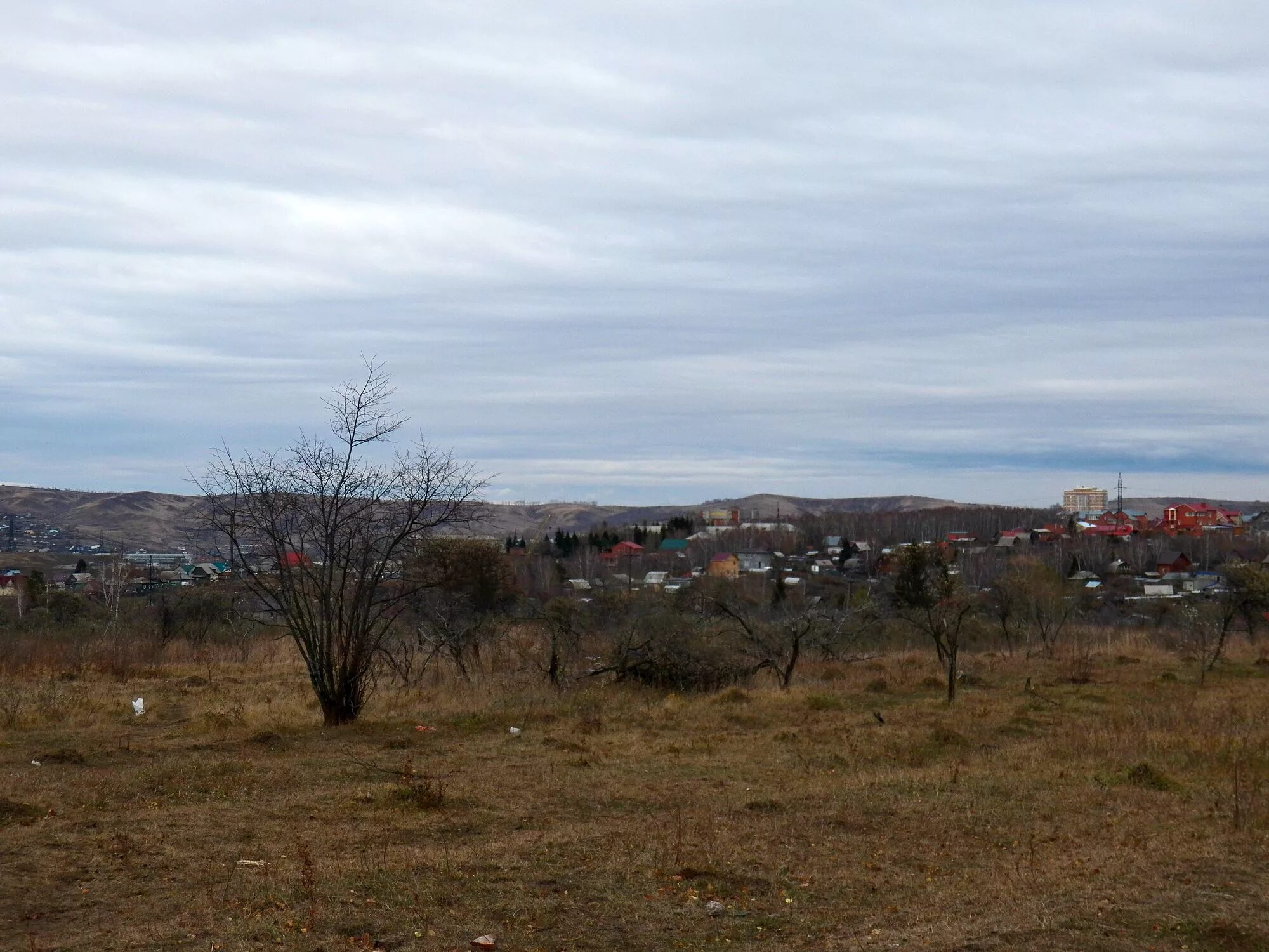 Плодово-ягодная станция красноярск карта. Плодово-ягодная станция орел. Ягодное самара фото. Плодово-ягодная станция. Плодово-ягодная станция орел.