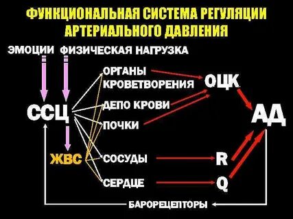 Функциональное давление