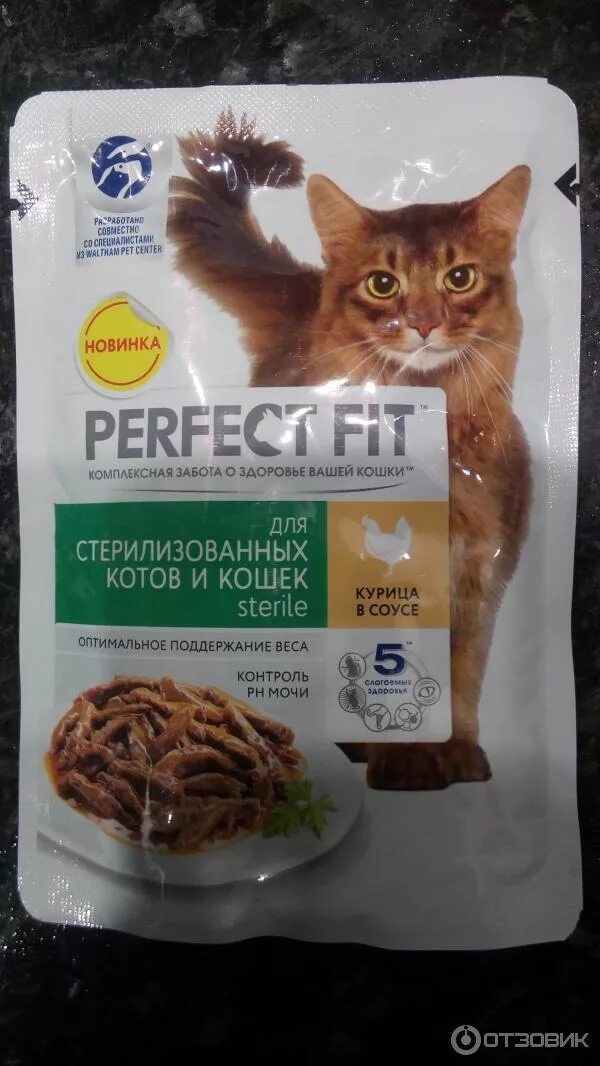 Китикет корм для кошек пакетики. Kitekat влажный корм для кошек. Корм для кошек перфект фит для стерилизованных кошек влажный. Кошачий корм в пакетиках. Пакетик корма для кошек.