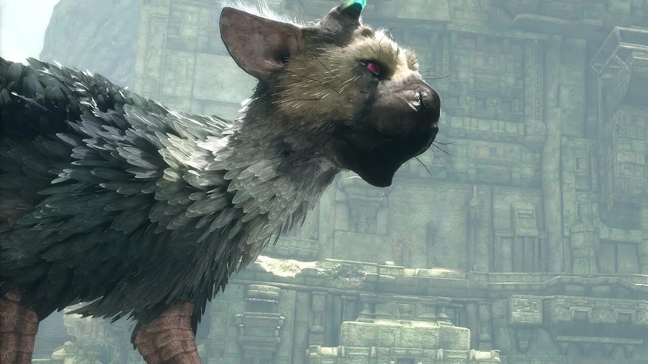 The last Guardian. Игра the last Guardian. Последний хранитель игра ps4. The last Guardian геймплей. Guardian ps4